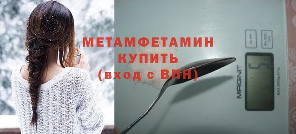 индика Няндома